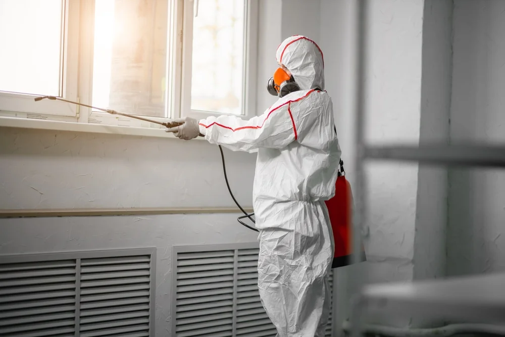 Professional mold remediation services in Brant, MI